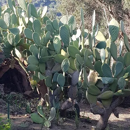 Aura Ferienhaus Lipari (Isola Lipari)